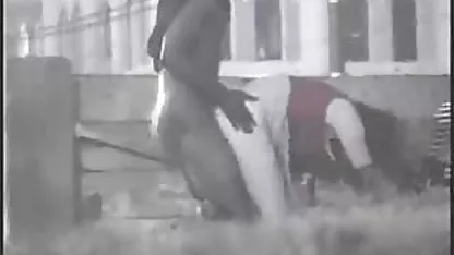 1 Collie. فیلمسکسیرایگان